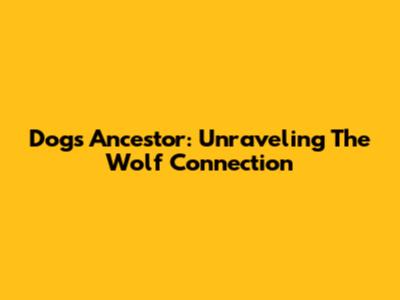Dog's Ancestor: Unraveling The Wolf Connection