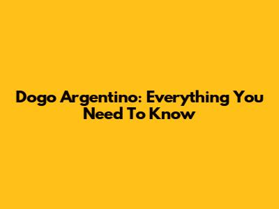 Dogo Argentino: Everything You Need To Know