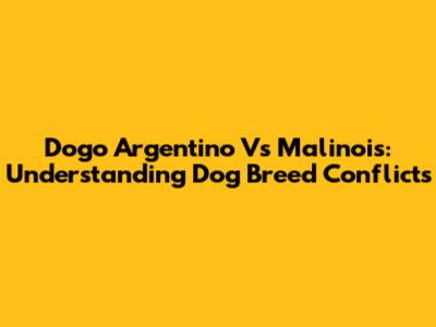 Dogo Argentino Vs Malinois: Understanding Dog Breed Conflicts