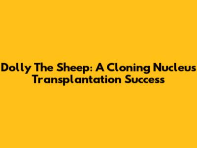 Dolly The Sheep: A Cloning Nucleus Transplantation Success