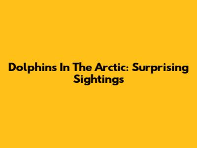 Dolphins In The Arctic: Surprising Sightings