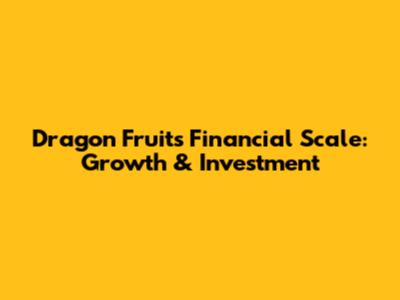 Dragon Fruit's Financial Scale: Growth & Investment
