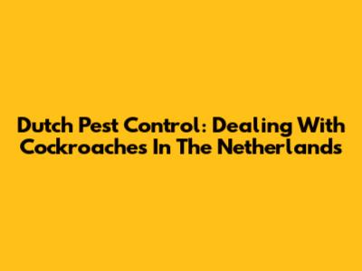 Dutch Pest Control: Dealing With Cockroaches In The Netherlands
