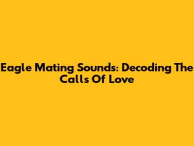 Eagle Mating Sounds: Decoding The Calls Of Love