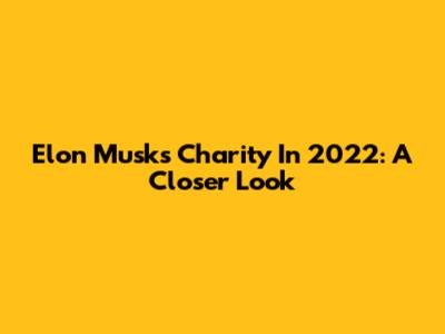 Elon Musk's Charity In 2022: A Closer Look