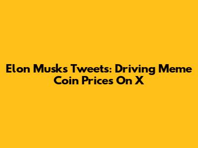 Elon Musk's Tweets: Driving Meme Coin Prices On X