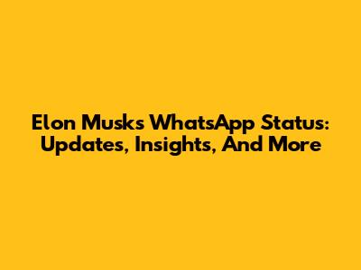 Elon Musk's WhatsApp Status: Updates, Insights, And More