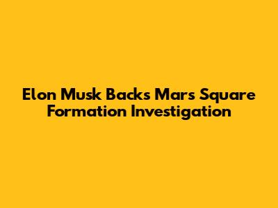 Elon Musk Backs Mars Square Formation Investigation