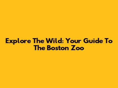 Explore The Wild: Your Guide To The Boston Zoo