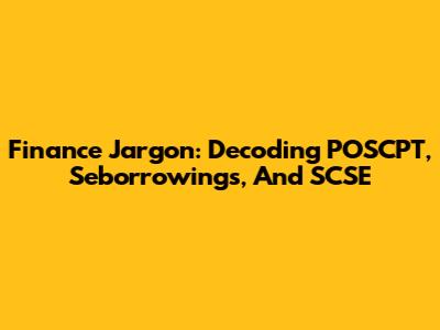 Finance Jargon: Decoding POSCPT, Seborrowings, And SCSE