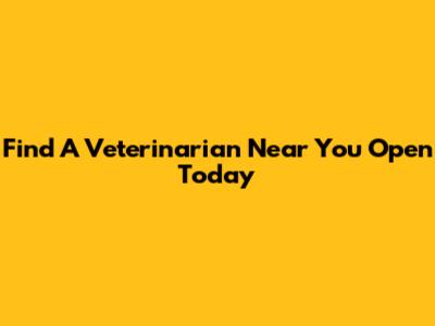 Find A Veterinarian Near You Open Today