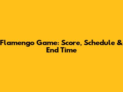 Flamengo Game: Score, Schedule & End Time