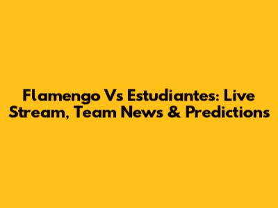 Flamengo Vs Estudiantes: Live Stream, Team News & Predictions