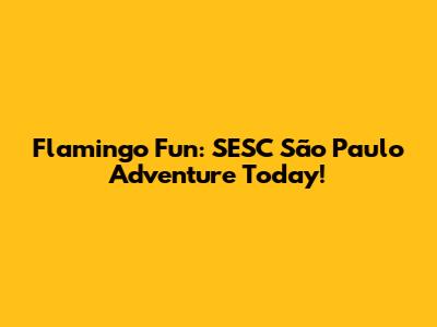 Flamingo Fun: SESC São Paulo Adventure Today!