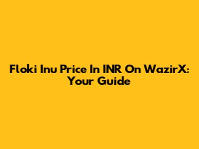 Floki Inu Price In INR On WazirX: Your Guide