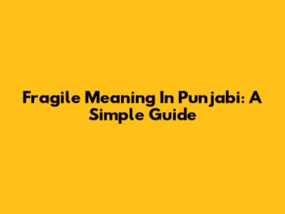 Fragile Meaning In Punjabi: A Simple Guide