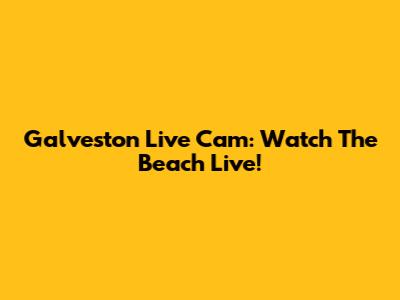 Galveston Live Cam: Watch The Beach Live!