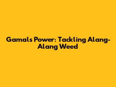 Gamal's Power: Tackling Alang-Alang Weed