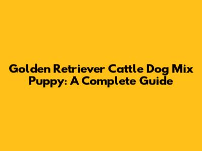 Golden Retriever Cattle Dog Mix Puppy: A Complete Guide