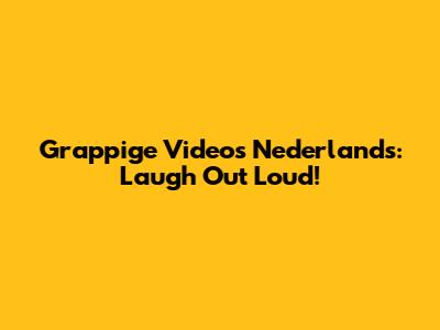 Grappige Videos Nederlands: Laugh Out Loud!