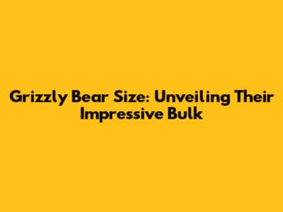 Grizzly Bear Size: Unveiling Their Impressive Bulk