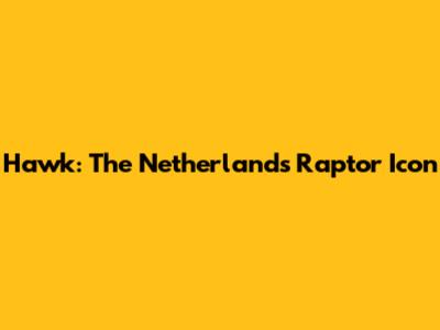 Hawk: The Netherlands' Raptor Icon