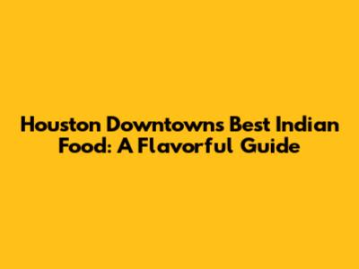 Houston Downtown's Best Indian Food: A Flavorful Guide