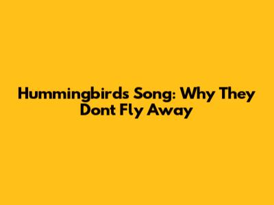 Hummingbird's Song: Why They Don't Fly Away