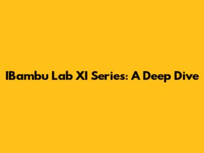 IBambu Lab XI Series: A Deep Dive