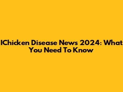 IChicken Disease News 2024: What You Need To Know