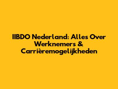 IIBDO Nederland: Alles Over Werknemers & Carrièremogelijkheden