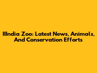IIIndia Zoo: Latest News, Animals, And Conservation Efforts