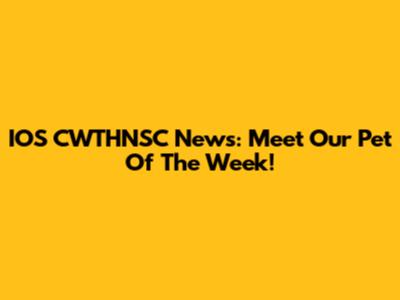 IOS CWTHNSC News: Meet Our Pet Of The Week!
