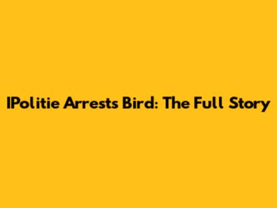 IPolitie Arrests Bird: The Full Story