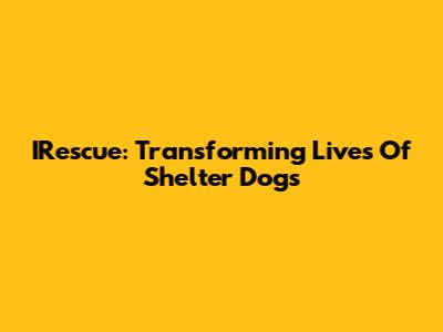 IRescue: Transforming Lives Of Shelter Dogs