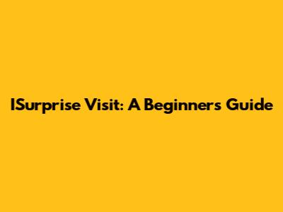 ISurprise Visit: A Beginner's Guide