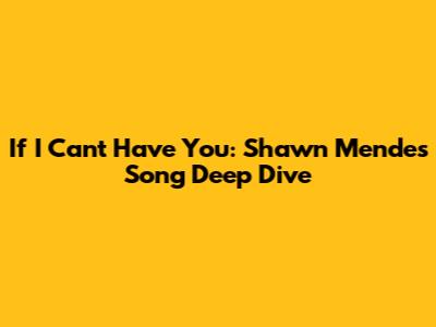 If I Can't Have You: Shawn Mendes Song Deep Dive