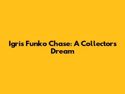 Igris Funko Chase: A Collector's Dream