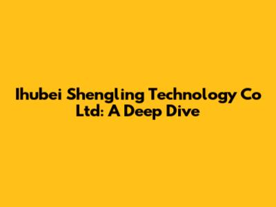 Ihubei Shengling Technology Co Ltd: A Deep Dive