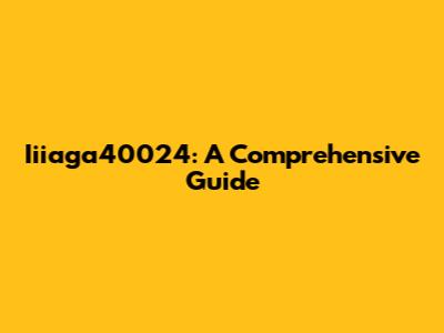 Iiiaga40024: A Comprehensive Guide