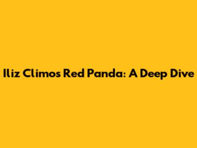 Iliz Climo's Red Panda: A Deep Dive