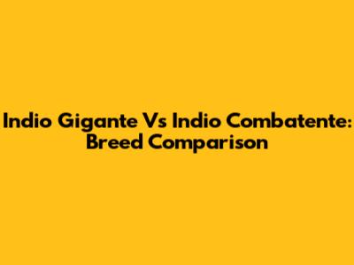 Indio Gigante Vs Indio Combatente: Breed Comparison