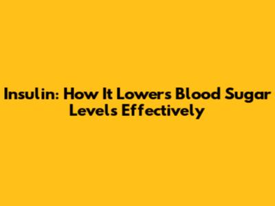 Insulin: How It Lowers Blood Sugar Levels Effectively