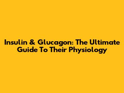 Insulin & Glucagon: The Ultimate Guide To Their Physiology