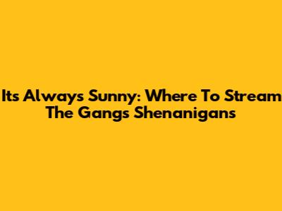 It's Always Sunny: Where To Stream The Gang's Shenanigans