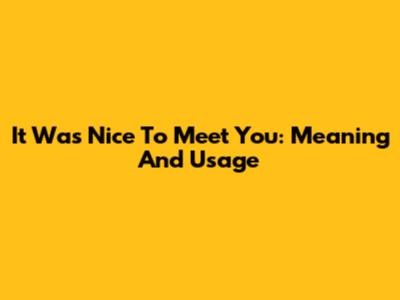 It Was Nice To Meet You: Meaning And Usage