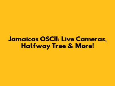 Jamaica's OSCII: Live Cameras, Halfway Tree & More!