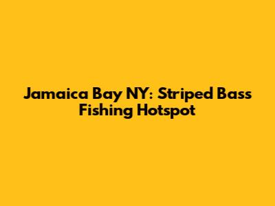 Jamaica Bay NY: Striped Bass Fishing Hotspot