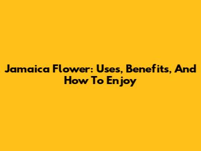 Jamaica Flower: Uses, Benefits, And How To Enjoy