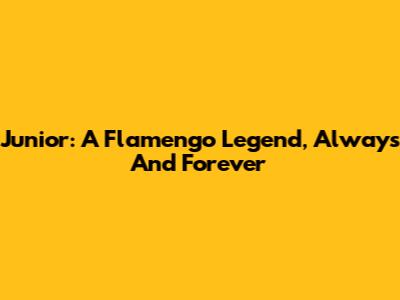Junior: A Flamengo Legend, Always And Forever